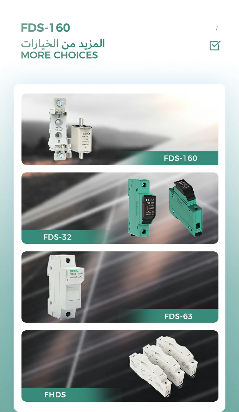 FDS-160--02 FDS-160--02